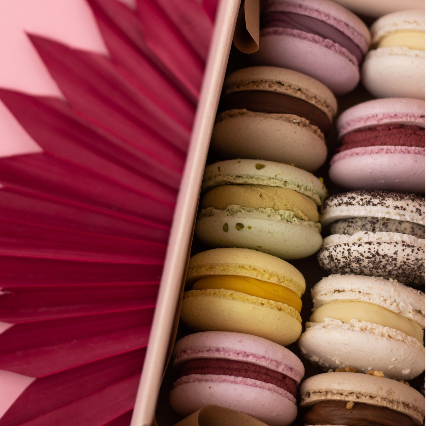 Macaron 18er Box